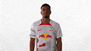 Football Soccer GIF by RB Leipzig