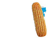 campo agro Sticker by Agroeste