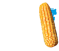 campo agro Sticker by Agroeste