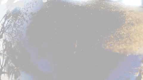 Film Art GIF by jorgemariozuleta