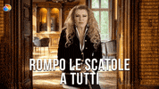 Real Housewives GIF by discovery+