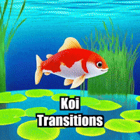 Koi Fish Video GIF by TheConfishius