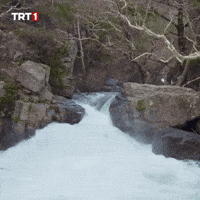 Water Quench GIF by TRT