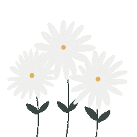 rovinya flower flowers plants lineart Sticker