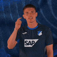 Sport Bundesliga GIF by TSG Hoffenheim