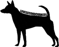 Dog Adopt Sticker by lovesecondchances
