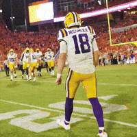 College Football Celebration GIF by LSU Tigers
