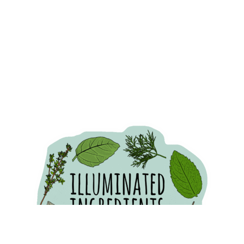 IlluminatedIngredients cooking baking illustrator recipes Sticker