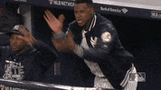 New York Yankees Sport GIF by MLB