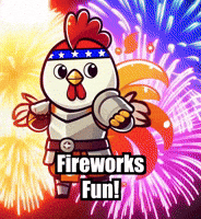 4Th Of July Summer GIF by Zorooster