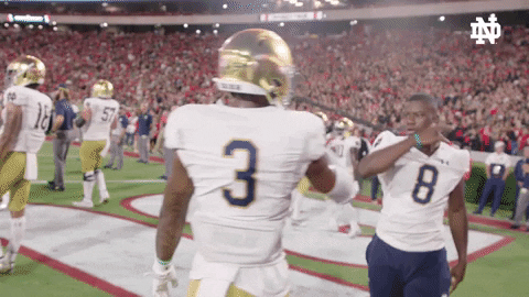 Notre Dame Handshake GIF by Notre Dame Fighting Irish
