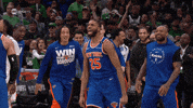 Excited New York Knicks GIF by NBA