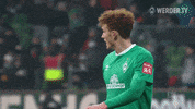 Germany Football GIF by SV Werder Bremen