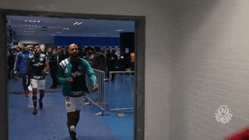 happy felipe melo GIF by SE Palmeiras