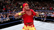 Hulk Hogan Wwe GIF