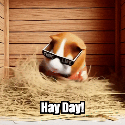 Guinea Pig Relaxation GIF by Guinea Gambino