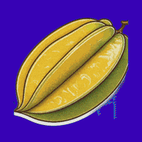 Comida Fruit GIF