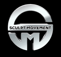 sculptmovement sculpt movement GIF