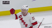 Ice Hockey Sport GIF by NHL