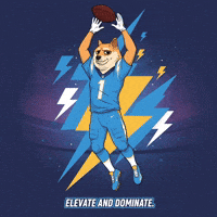 Jumping Shiba Inu GIF by Doge Pound