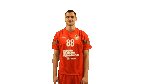 Cskahandball Sticker by CSKA men's handball club