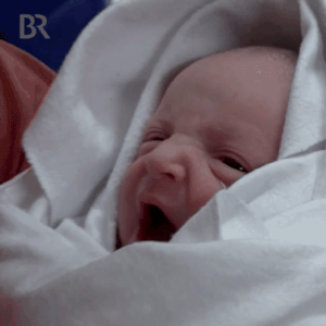 slatefr giphyupload GIF