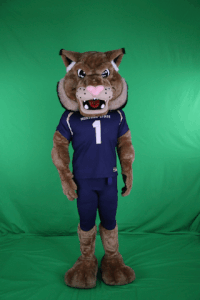 champ gocatsgo GIF by MSU Bobcats