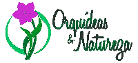 orquideasenatureza natureza orquidea orquideas orquideasenatureza Sticker