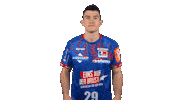Handball Loss Sticker by LIQUI MOLY HBL