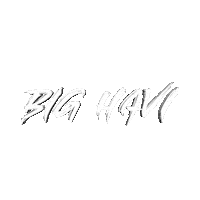 Snoop Dogg Commission Sticker by Big Havi