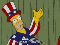 homer simpson episode 21 GIF