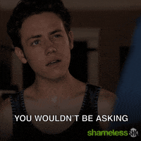 Episode 4 Showtime GIF by Shameless