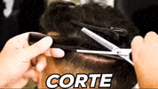 Corte Gaspi GIF