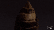 GIF by KQEDScience