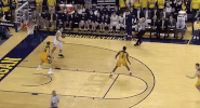 GIF by Michigan Athletics