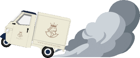 Piaggio Ape Sticker by Meditours