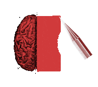 Manemane Proyecta Sticker by ESDA