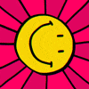 Cartoon gif. A smiling sun rotates on a flashing, multicolored background.