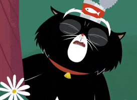 King Tubby Cats GIF by Kitty Is Not A Cat