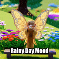 Rain Weather GIF by BuddhaFlyJourney