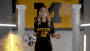 Tigers Missouri GIF by Mizzou Athletics