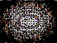 united states submission GIF by The Savannah .GIF Festival