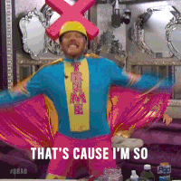 bigbrotherafterdark big brother bbad big brother after dark bb19 GIF