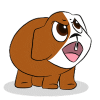 Guinea Pig No Sticker