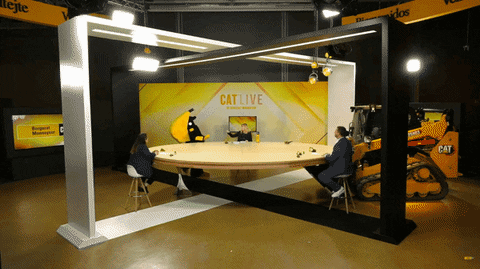bergeratmonnoyeur giphyupload cat tv live GIF