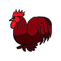 Rooster Chickens Sticker