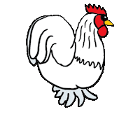 Chickens Sticker
