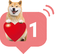 Shiba Maru Sticker by marutaro