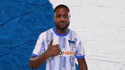 Bundesliga Berlin GIF by Hertha BSC