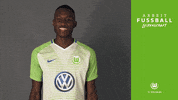 josuha guilavogui bundesliga GIF by VfL Wolfsburg